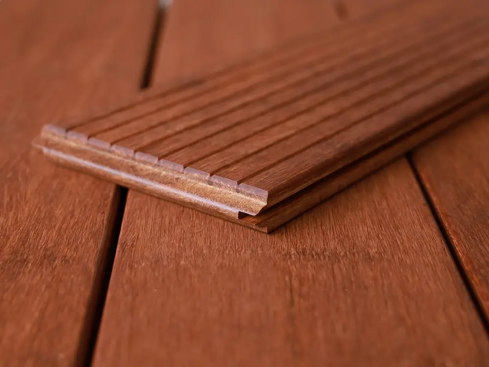 18-204458~~04~Moso04