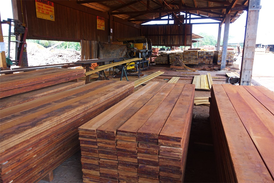 woher-kommt-das-holz-13