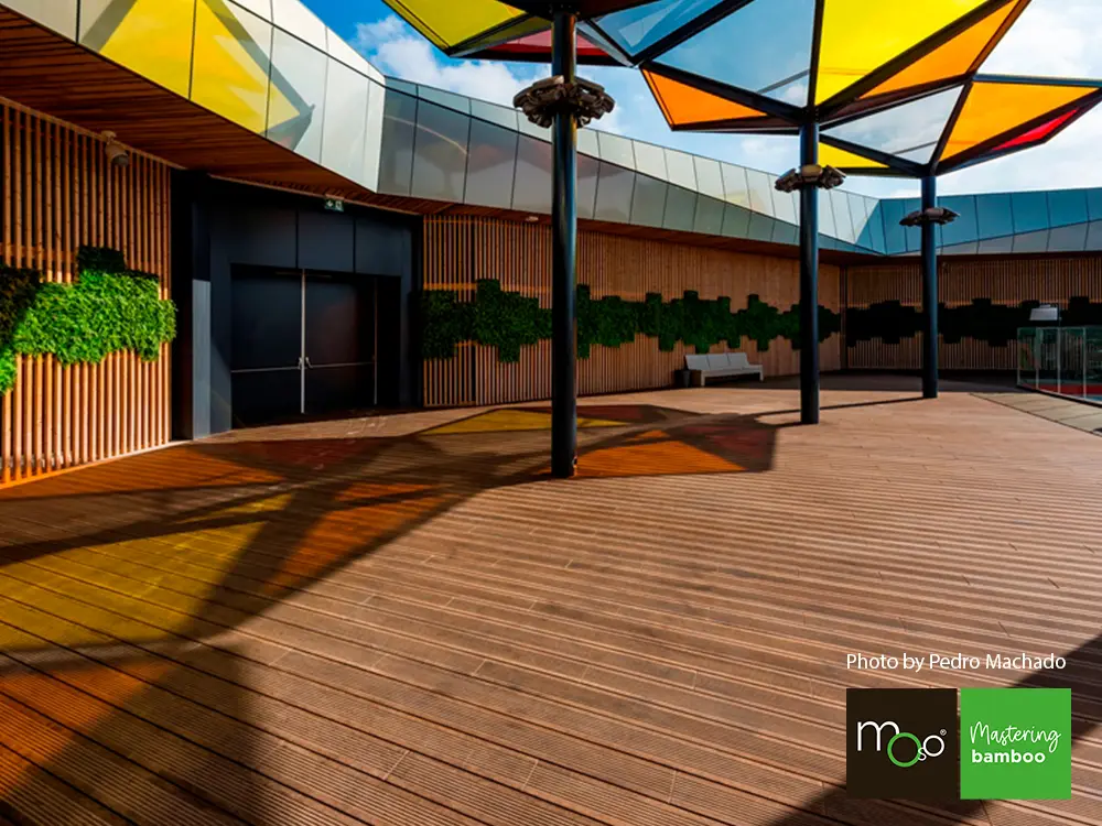 18-204633~~01~OBJ01_Moso_TD_155_grob