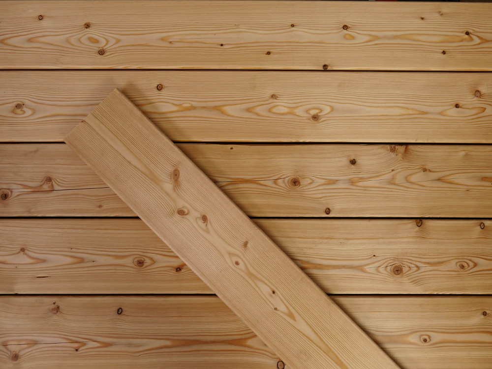 18-220330-B~~24~Kanadische_Lareche_27x143_glatt_Glatt_04