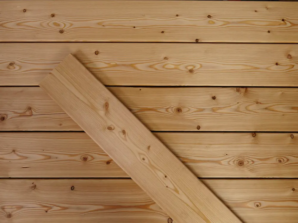 18-220330-B~~24~Kanadische_Lareche_27x143_glatt_Glatt_04