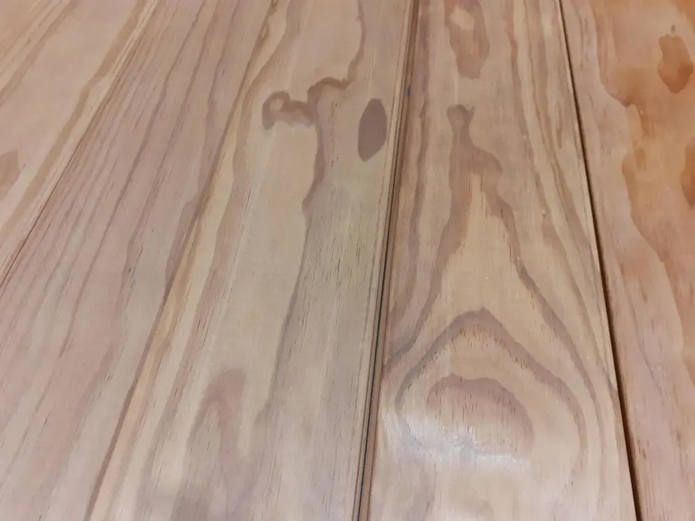 18-201846-B~~03~Lignia_Sortierausschuss03